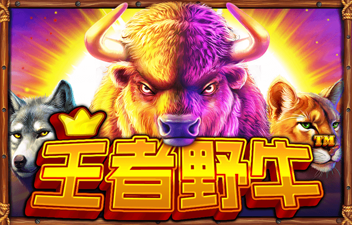 博鱼app
