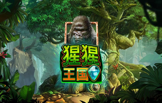 博乐体育app官方网站